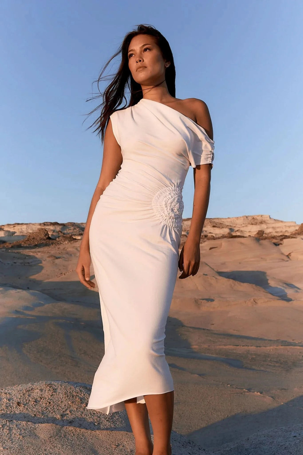 ROSE HIP DRESS™ - ShopLorca