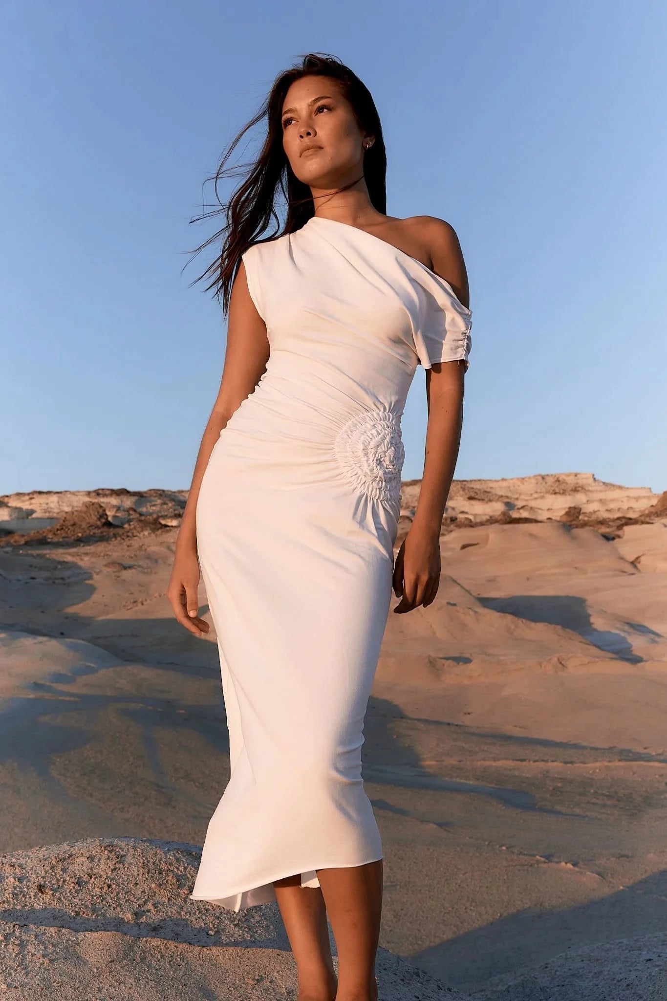 ROSE HIP DRESS™ - ShopLorca